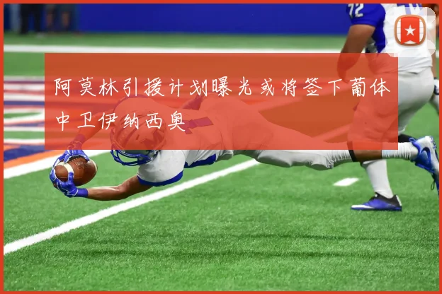 阿莫林引援计划曝光或将签下葡体中卫伊纳西奥