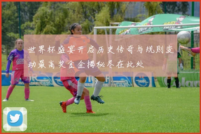 世界杯盛宴开启历史传奇与规则变动最高奖金全揭秘尽在此处