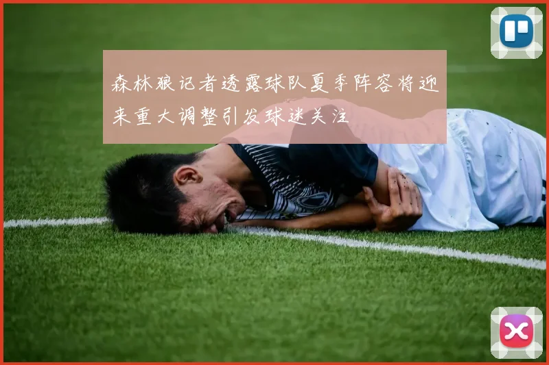 森林狼记者透露球队夏季阵容将迎来重大调整引发球迷关注