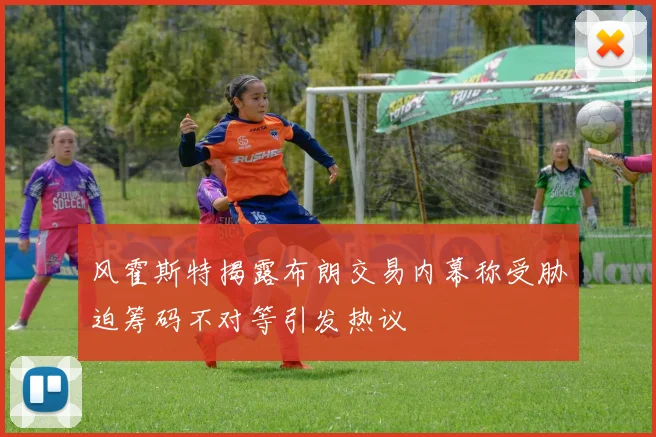 风霍斯特揭露布朗交易内幕称受胁迫筹码不对等引发热议