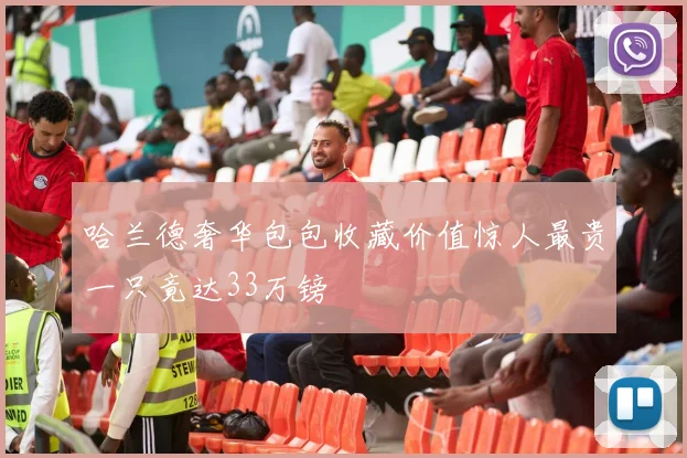 哈兰德奢华包包收藏价值惊人最贵一只竟达33万镑